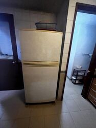 Woodsvale (D25), Condominium #488098991